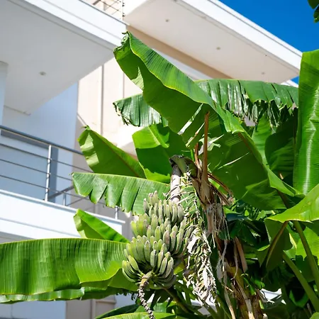 Villa Serena Kalithea Rhodes, Sea View & Jacuzzi